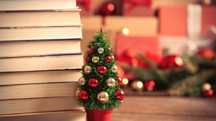 Het ultieme kerstcadeau: duik in ons betoverende boekenaanbod!